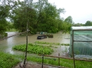 Hochwasser 31.05. - 02.06.2013_17