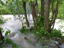 Hochwasser 31.05. - 02.06.2013_1