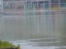Hochwasser 31.05. - 02.06.2013_29